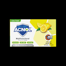 ACNOL Multifunctional Hygiene Soap 100GM