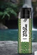 wild stone party body deodorant